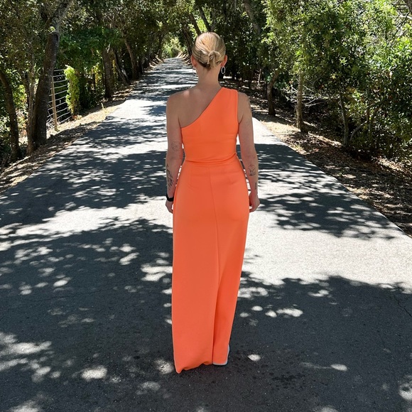 Rex One-Shoulder Gown Size 2 - Picture 5 of 5